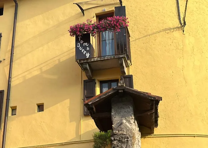 Διαμέρισμα Tom E Jerry